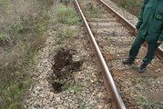 Naruszony w wyniku działalności bobrów nasyp kolejowy