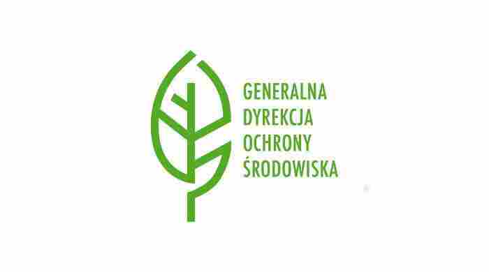 Pomnik przyrody Kamień Grzyb